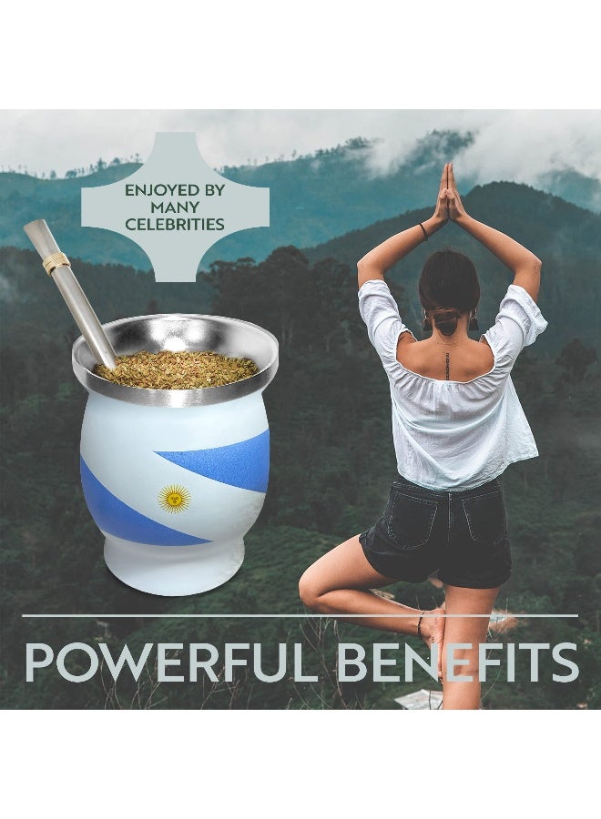 Norte Group Norte Yerba Mate Cup Set - Stainless Steel Blue & White Insulated 8 oz Cup/Gourd with 2 Bombillas & Cleaning Brush - Traditional Yerba Mate Kit for Tea Drinkers, Travel & Everyday Use - Image 5